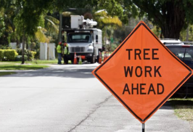 tree removal Highlands tx