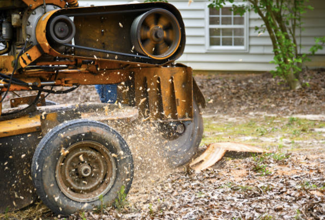 stump grinding harris tx